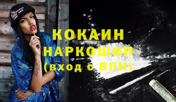 бошки Каменногорск