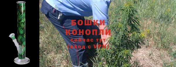бошки Каменногорск