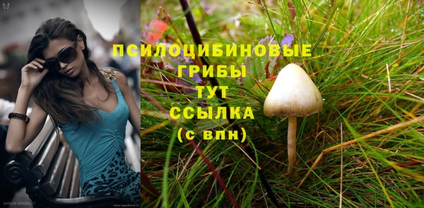 эйфоретик Каменка