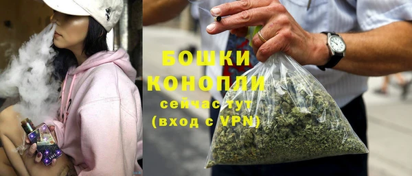 эйфоретик Каменка