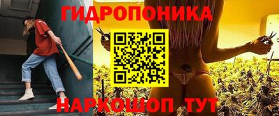 молекула духа Заводоуковск